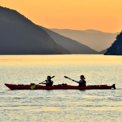Whales & Nature Package