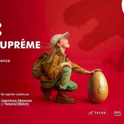 The T. rex experience: Voyage into the world of a legendary predator