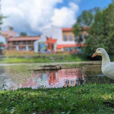 Promotion 3 nights 30%