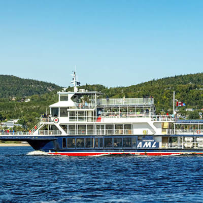 Whale-Watching Boat Tour in Tadoussac