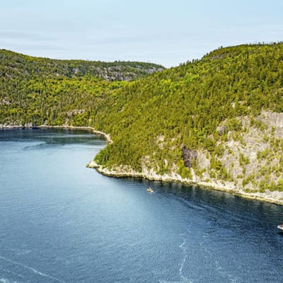 Croisière aux baleines à Tadoussac et exploration du fjord du Saguenay