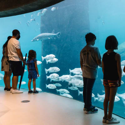 Biodôme – Espace pour la vie
