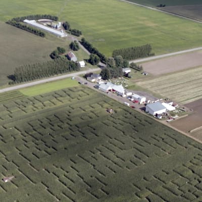 Pick-Your-Own at Ferme Guy Rivest