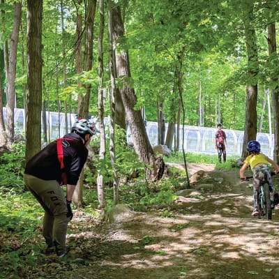 Profitez de 10% de rabais sur le Camp de jour