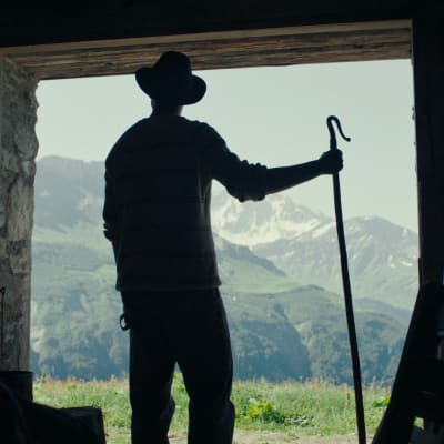 Soirée cinéma – Sous les étoiles au moulin