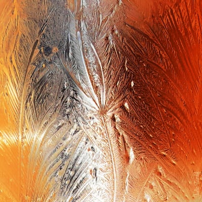 Over Exposition - Julie Tardif