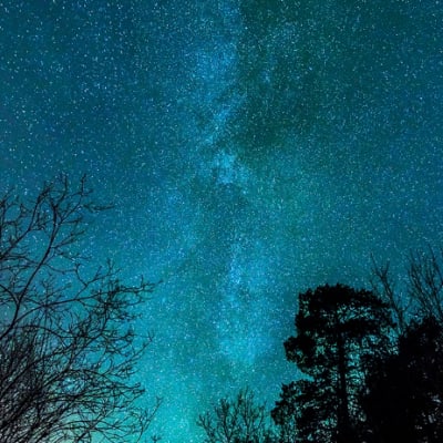 Eyes to the stars