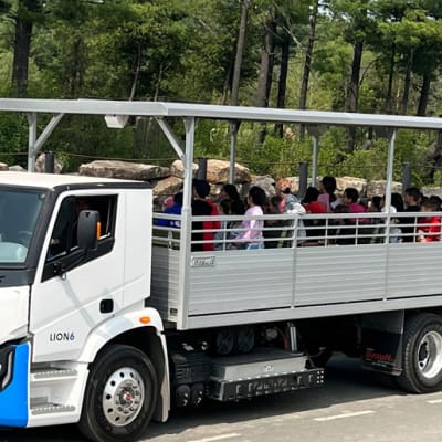Company and group outing