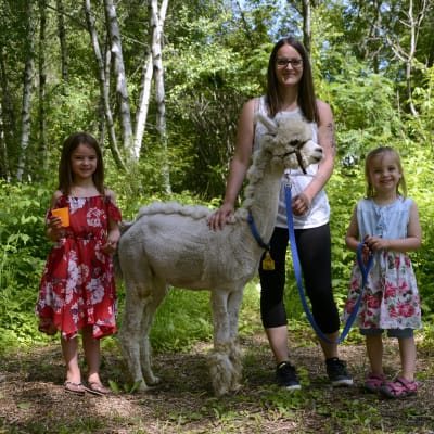 Visite guidée de la ferme
