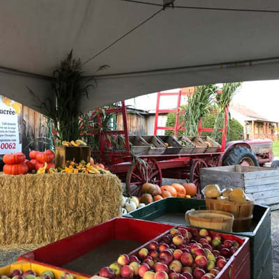 La Magie de la Pomme