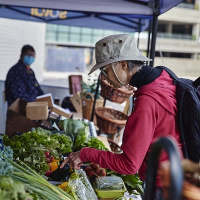 Marché public Solar