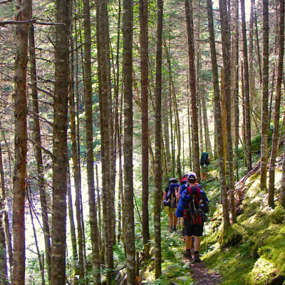 Nature Aventure