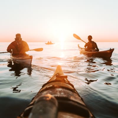 Mer et Monde Écotours