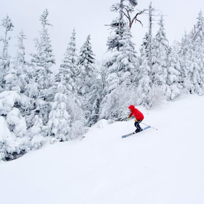Mont Sutton - Station de ski