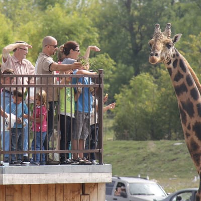 Parc Safari Boréal