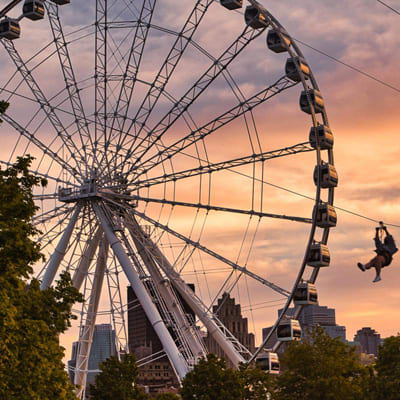 MTL ZIPLINE