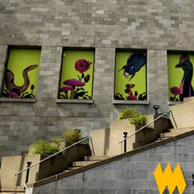 Visite du musée