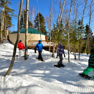 Guided snowshoe hike with lunch