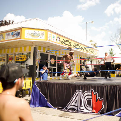 Wrestling match