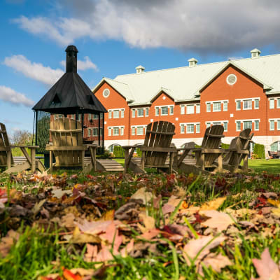 Forfait Plaisirs d’automne