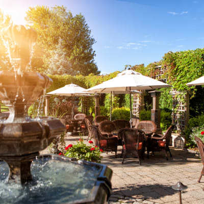 Singing evenings on the terrace