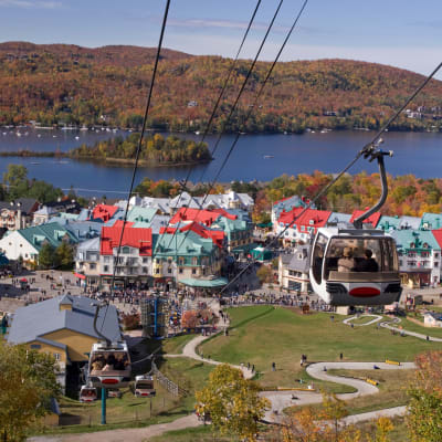Gondola Package