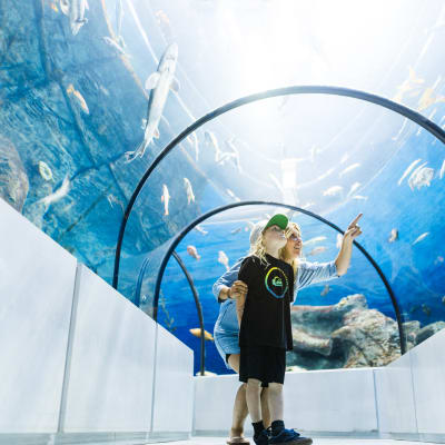 Aquarium du Québec and Breakfast Package
