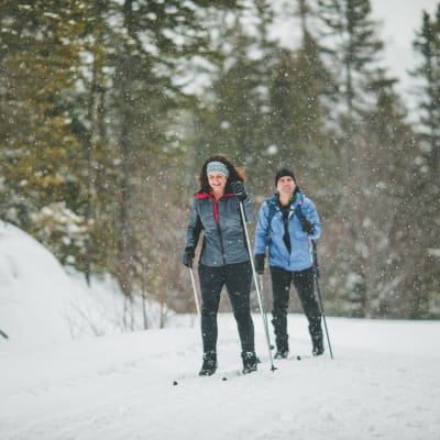 Journée de randonnée hivernale au Parc de la Forêt Ouareau