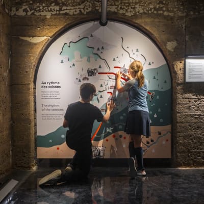 The Boréalis family experience