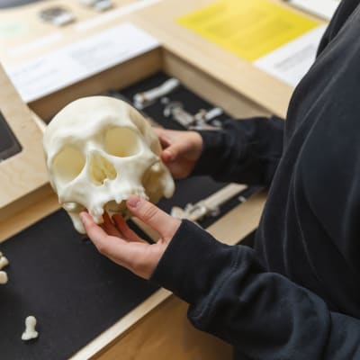 Exposition Archéologie et enquêtes criminelles