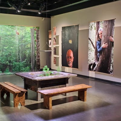 Temporary exhibition Fou d'forêt