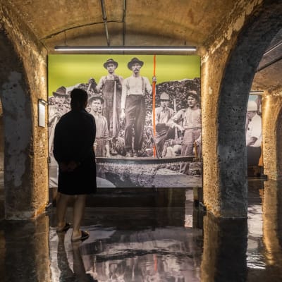 Sortie culturelle : vivez l’expérience Boréalis à Trois-Rivières
