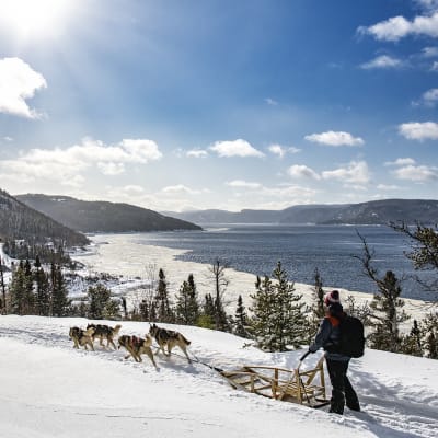 Centre de vacances Ferme 5 Étoiles