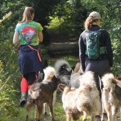 Husky Hiking Package