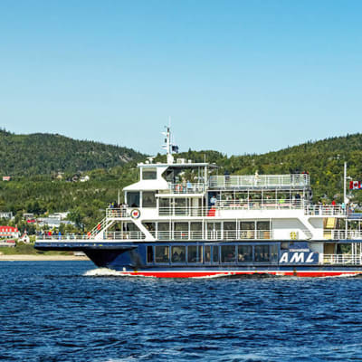 Croisière aux baleines en bateau d'observation à Tadoussac
