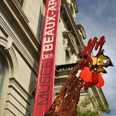 Museum Passport Package