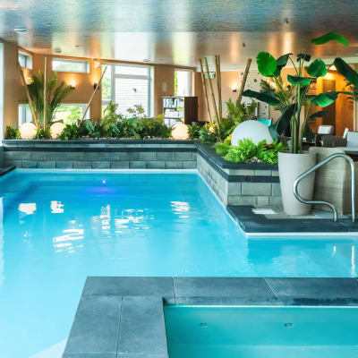 Forfait Hôtel du Jardin