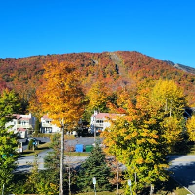 A Breath of Fresh Air Package