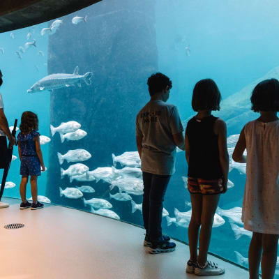 Biodôme – Espace pour la vie