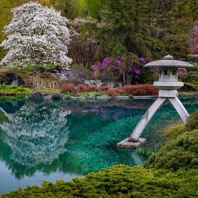 Jardin botanique – Espace pour la vie