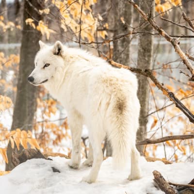 Low season promotion