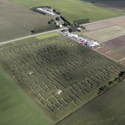 Pick-Your-Own at Ferme Guy Rivest