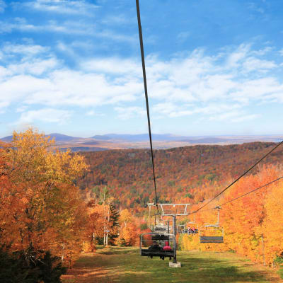 The Mont Sutton Fall Festival
