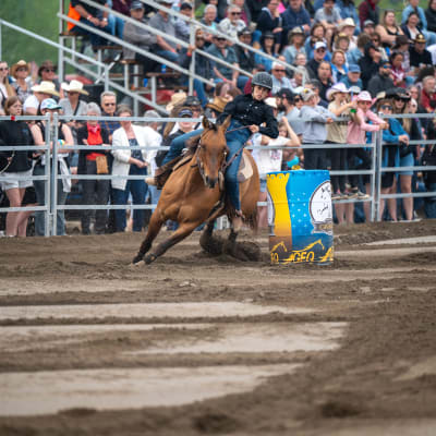 Festival Western Trois-Pistoles