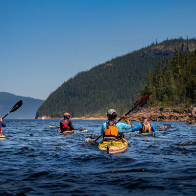 Family excursion (2 adults and 1 child age 3 to 13)