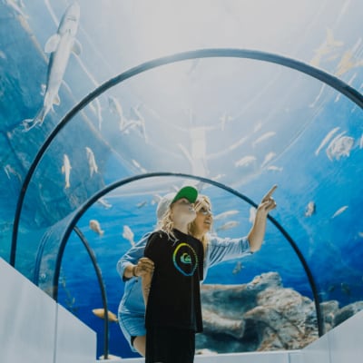 Aquarium du Quebec Package