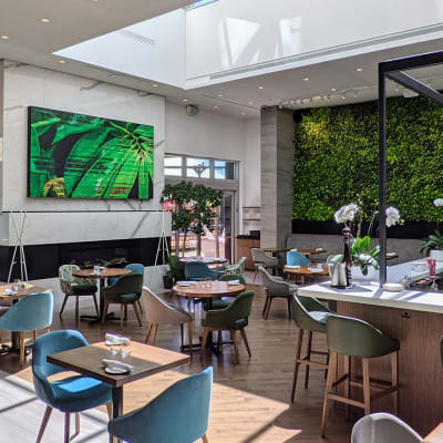 A Dinner at Sens Restaurant