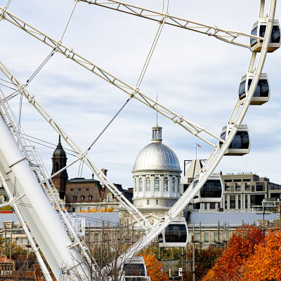 La Grande Roue de Montréal