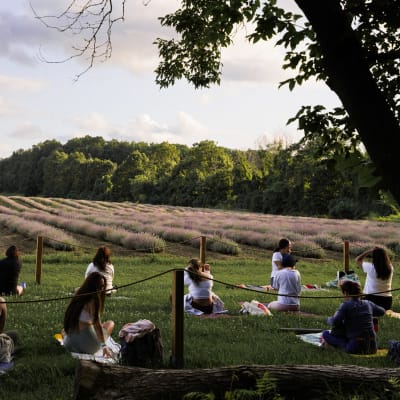 Yoga in the fields - Youth Package