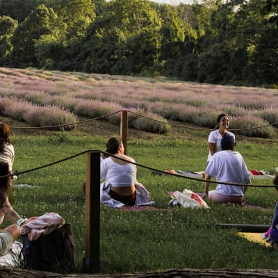 Yoga evening